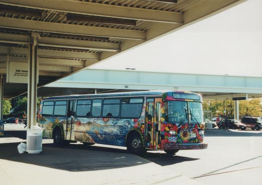 A colorful Pace bus with a mural on its side is parked at a terminal, with the route sign showing '228 GLENVIEW' and the number '8919' on the front.
