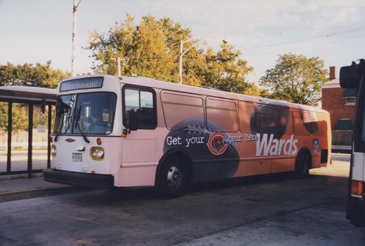 A white Pace bus with a Wards advertisement featuring a football and the Chicago Bears logo is parked at a terminal on a sunny day with autumn trees in the background.