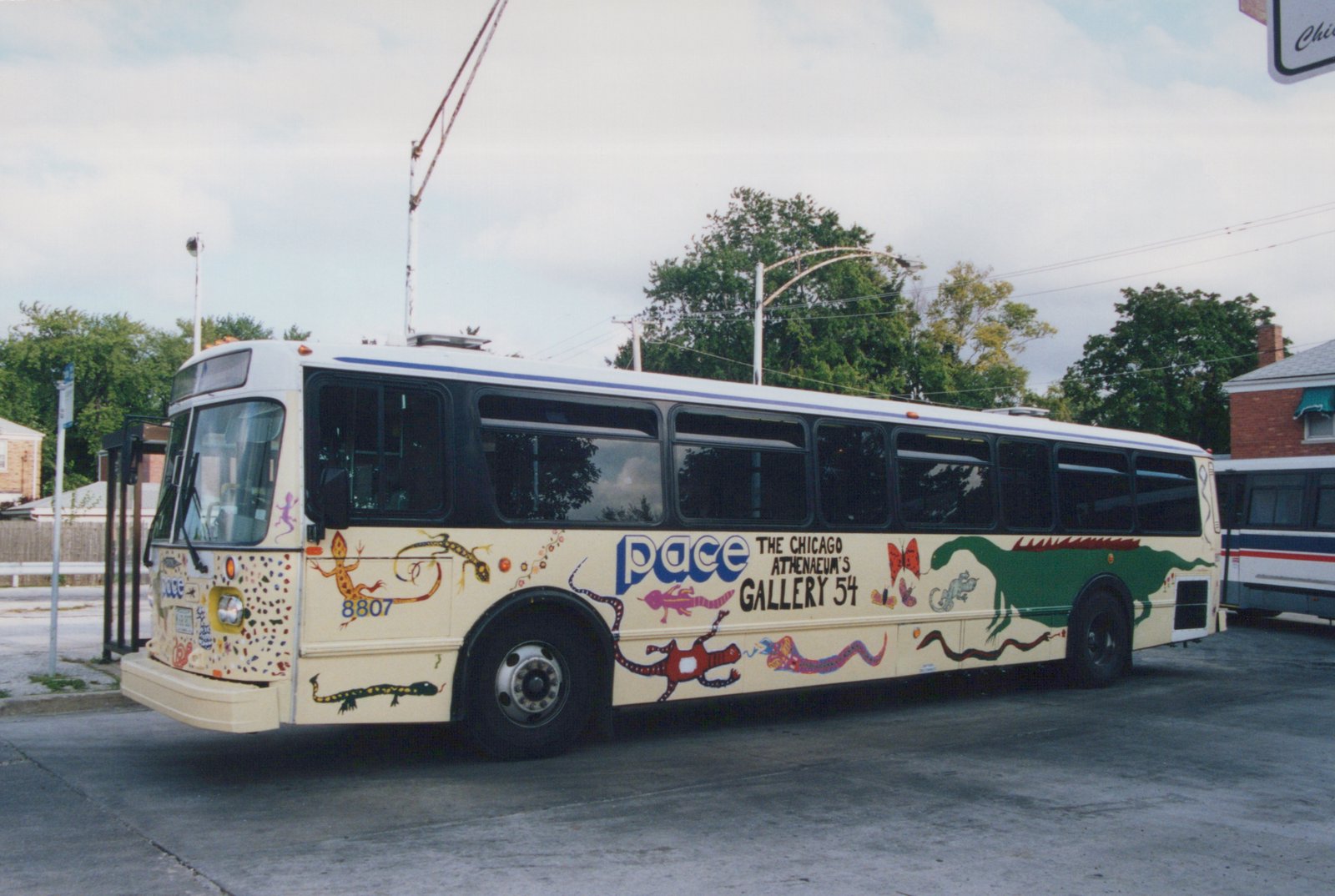 A cream-colored trolleybus with a blue stripe and colorful animal murals, marked 'Pace' and number 8807, is parked on a paved lot with trees and a streetlight in the background.