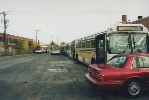 A row of Chicago Transit Authority buses, including an articulated model, parked on a paved lot with a red car in the foreground and autumn foliage in the background.