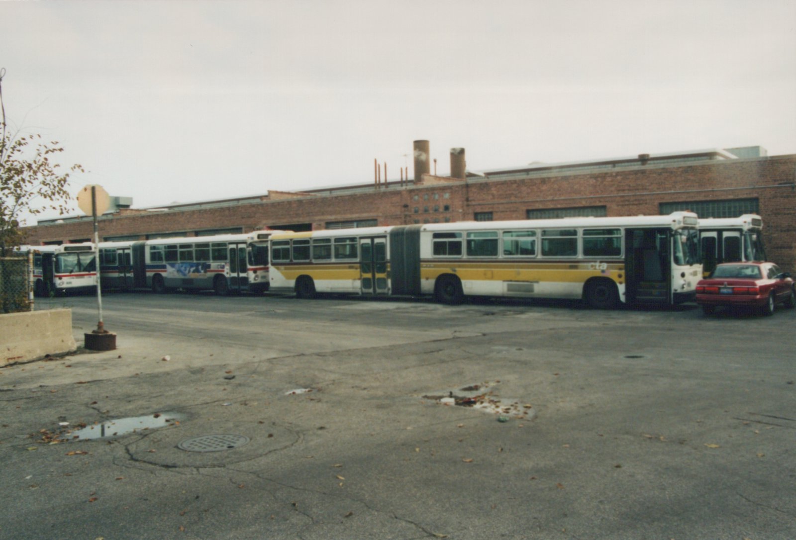 Several articulated buses from the Chicago Transit Authority are parked side-by-side in an asphalt lot in front of a brick building on an overcast autumn day.