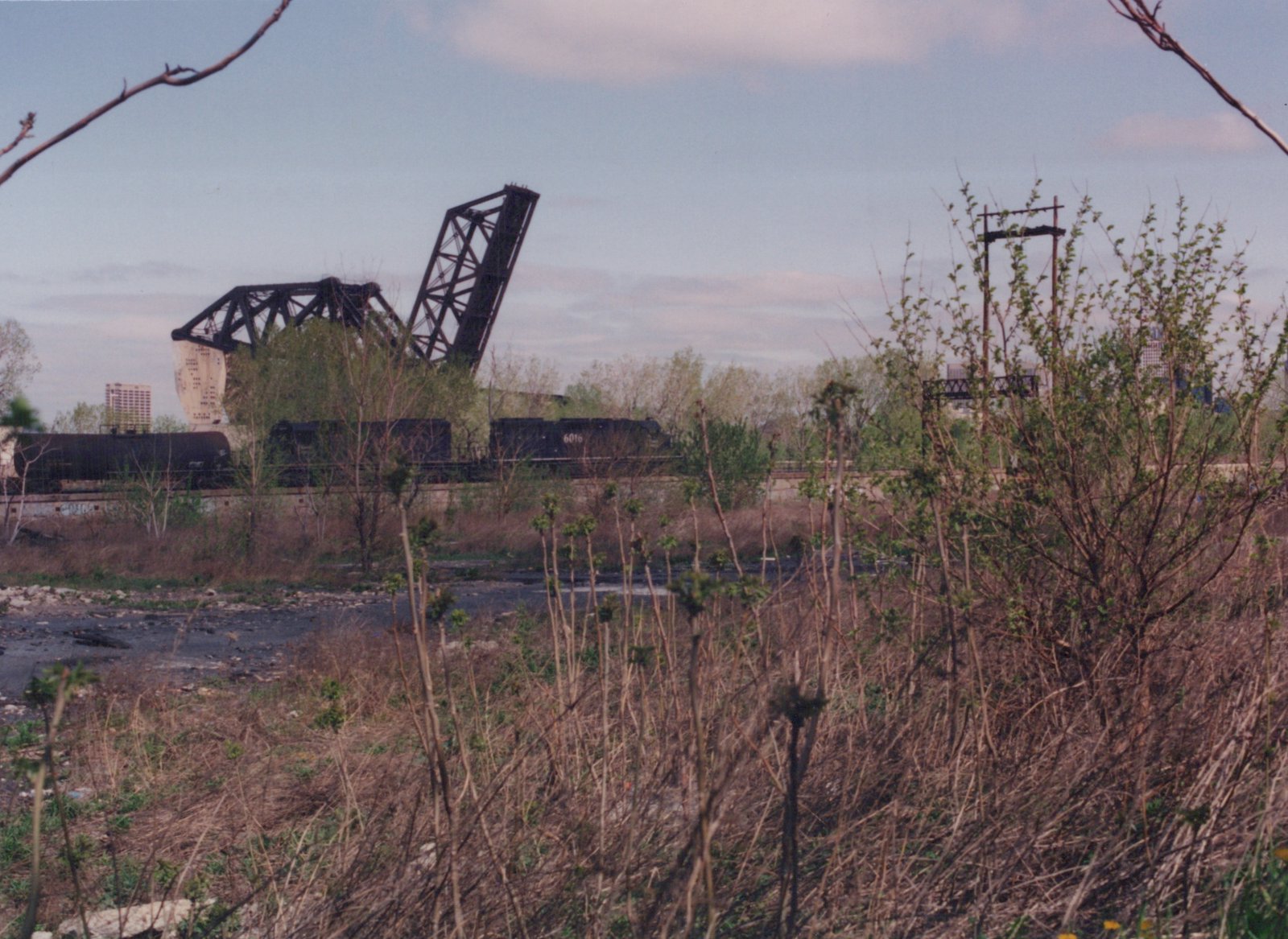 A black diesel locomotive with the number 6016 hauls a train on a raised steel bridge with budding trees in the foreground.