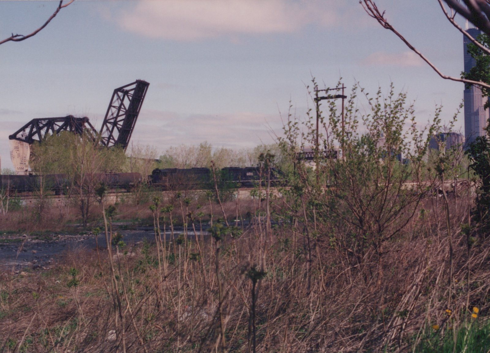 A black Burlington Northern diesel locomotive numbered 6016 is seen on a raised railroad bridge, with the Sears Tower and Chicago skyline visible behind trees in the distance on an overcast spring day.