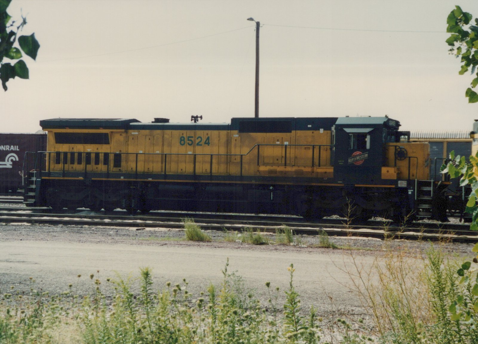 A side view of a yellow and black Chicago and North Western diesel locomotive, number 8524, sitting on tracks in a rail yard with weeds and a utility pole in the background.