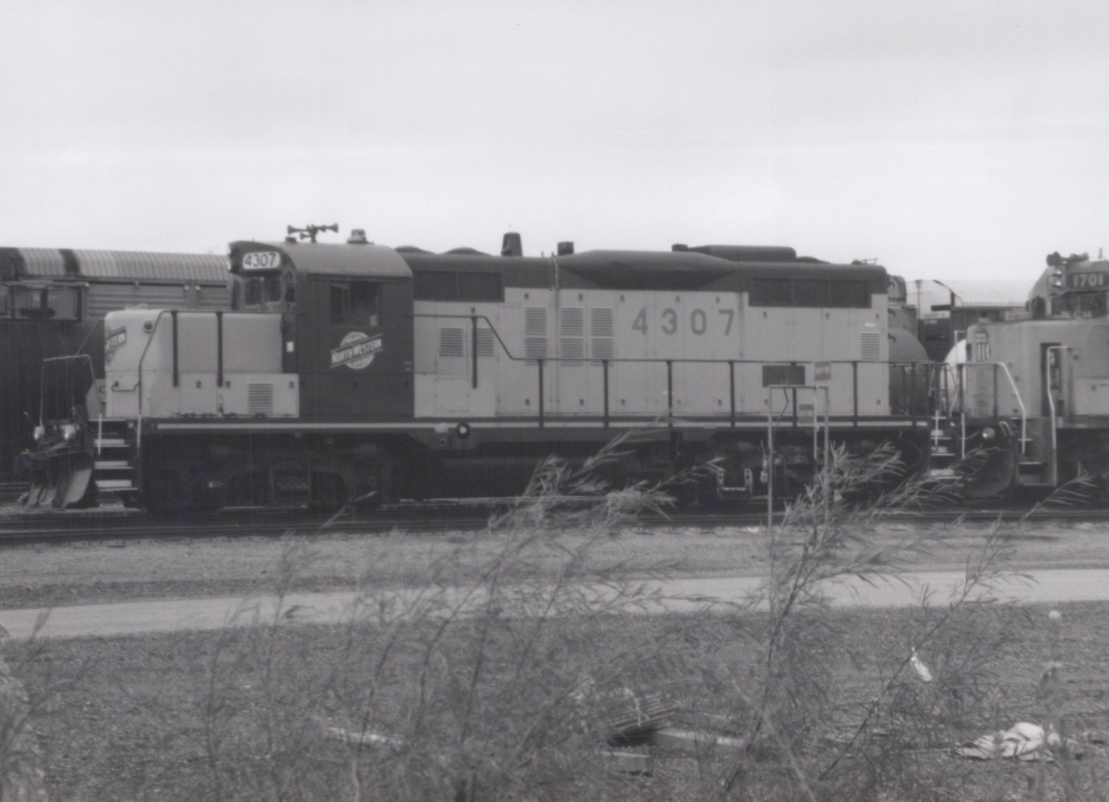 A side view of a black and gray diesel locomotive with the number 4307 and 'NORTH WESTERN' on its cab, parked in a rail yard with overgrown weeds in the foreground.