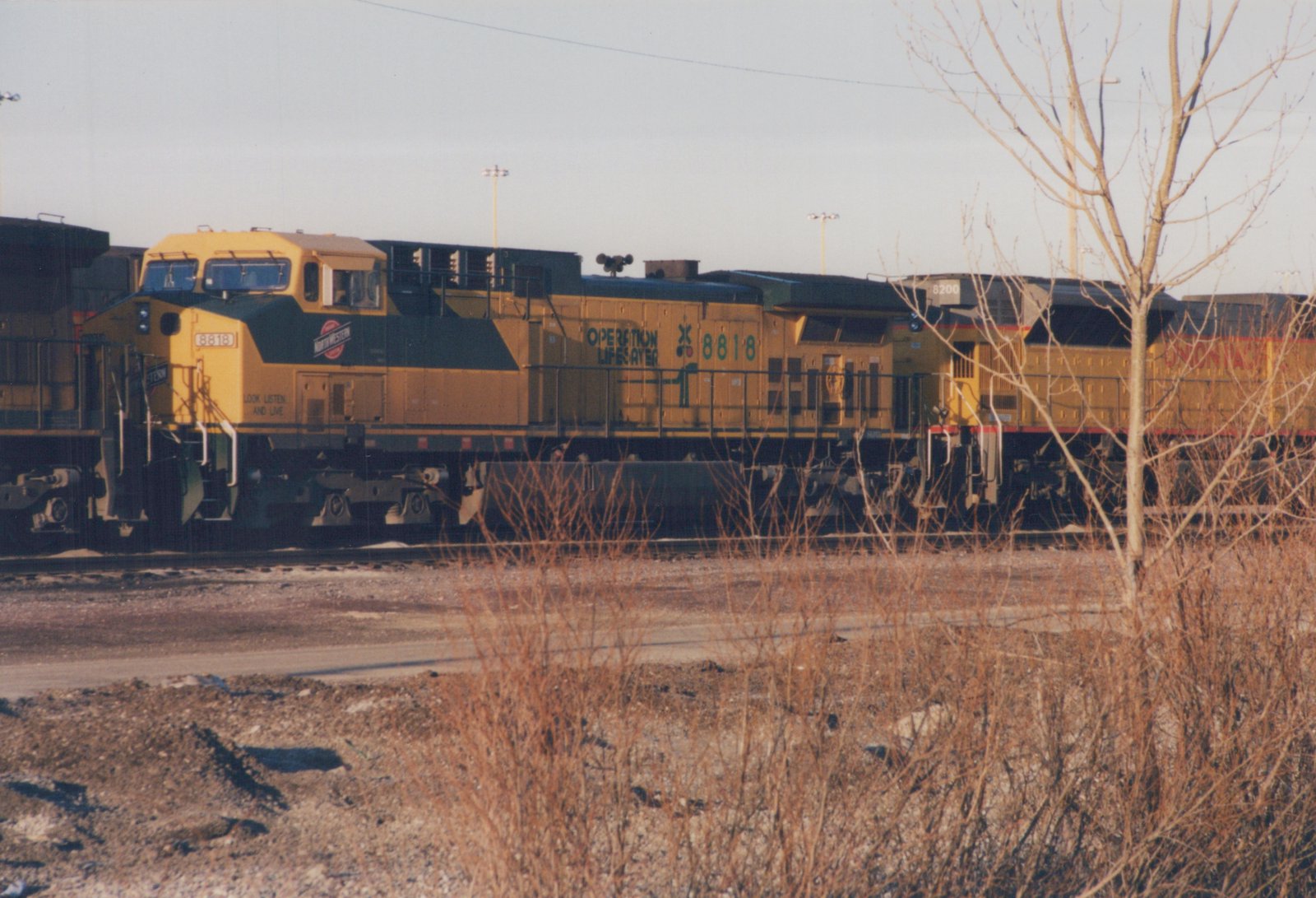 A yellow and green Chicago and North Western diesel locomotive, number 8818, with Operation Lifesaver text, is coupled to a yellow Union Pacific diesel locomotive, number 8200, on a rail line with bare trees in the foreground.