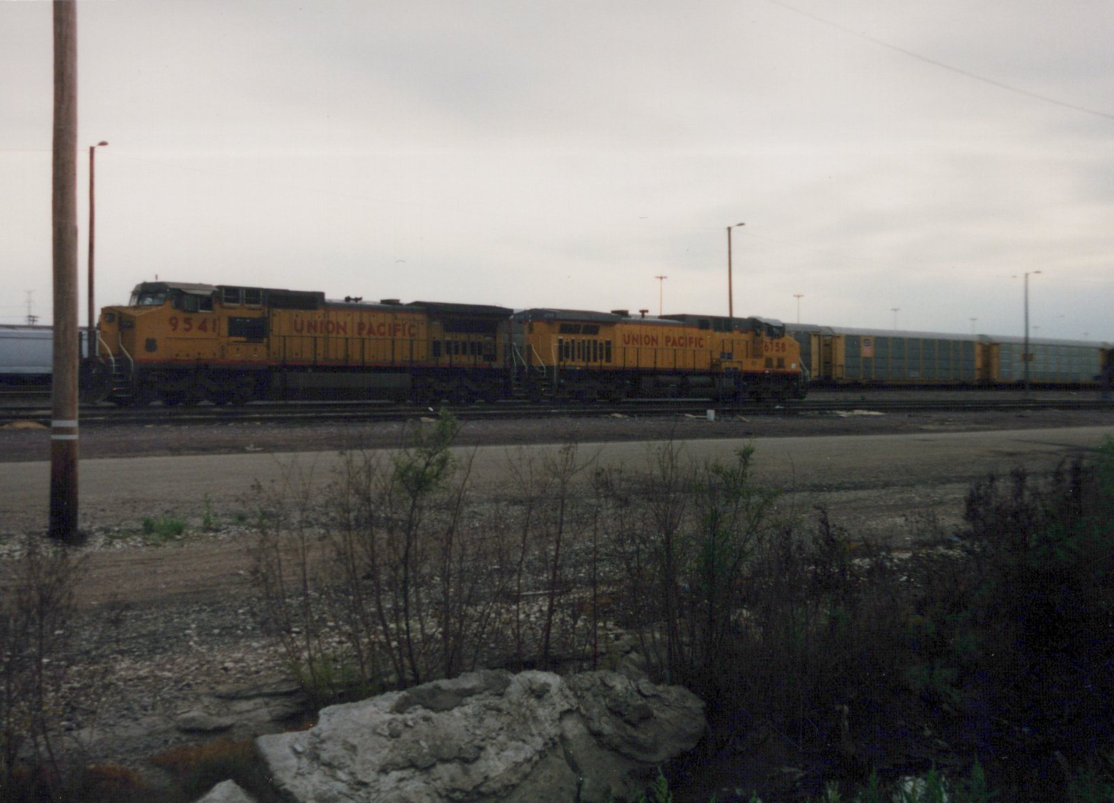 Side view of a Union Pacific freight train with two yellow diesel locomotives on parallel tracks in a gravel yard, with overgrown brush and a wooden pole in the foreground.