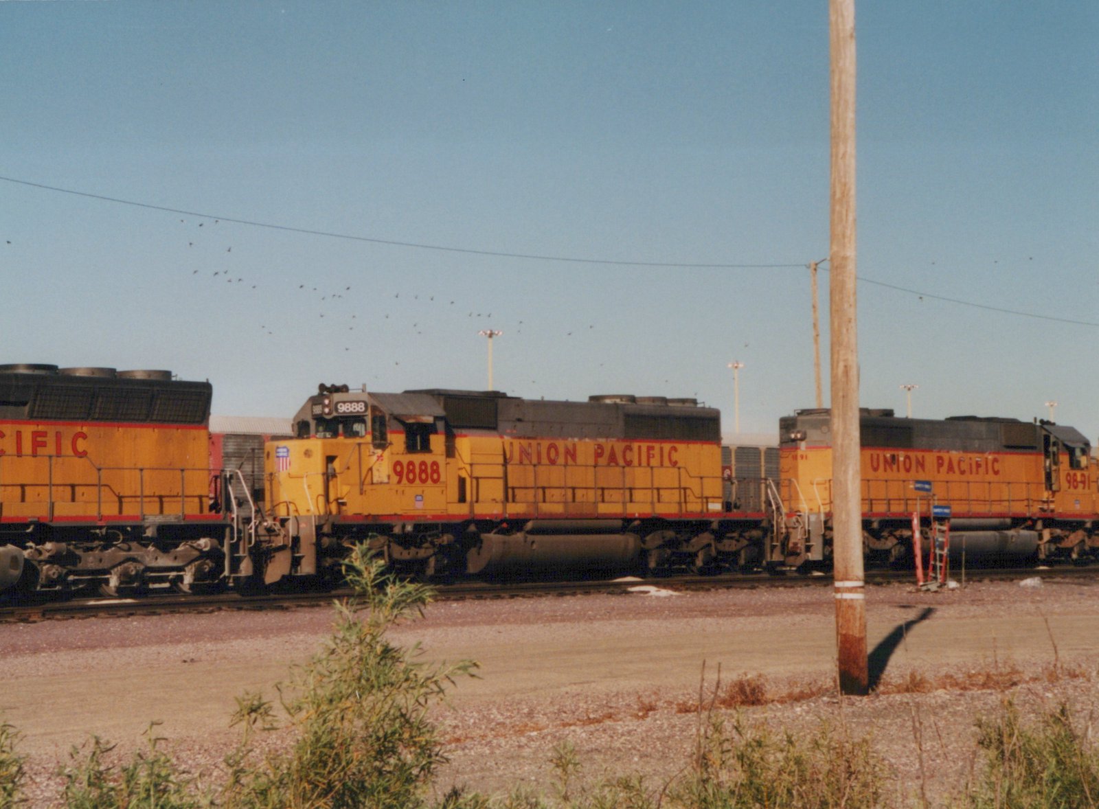 A side view of two yellow and red Union Pacific locomotives, 9888 and 9891, parked on parallel tracks in a gravel yard under a clear blue sky.
