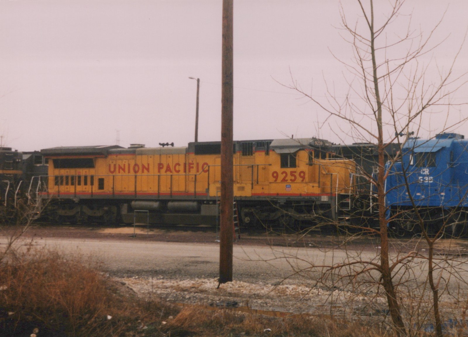 A yellow Union Pacific locomotive with the number 9259 stands in a rail yard with another blue locomotive beside it, viewed through bare tree branches on an overcast winter day.