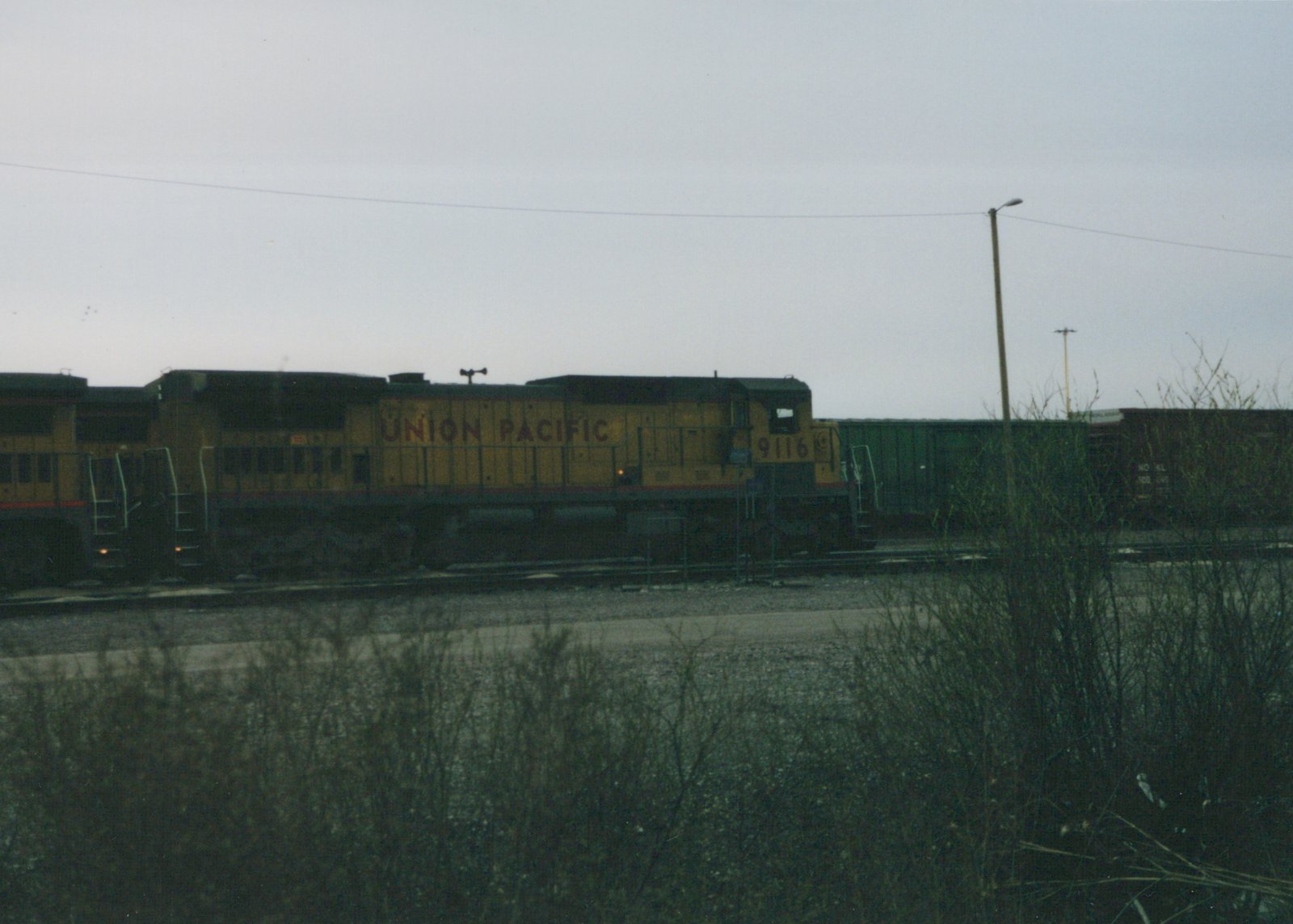 A yellow and black Union Pacific locomotive, number 9116, stands on railroad tracks in a yard with green boxcars behind it, under a grey sky, with bare bushes in the foreground.