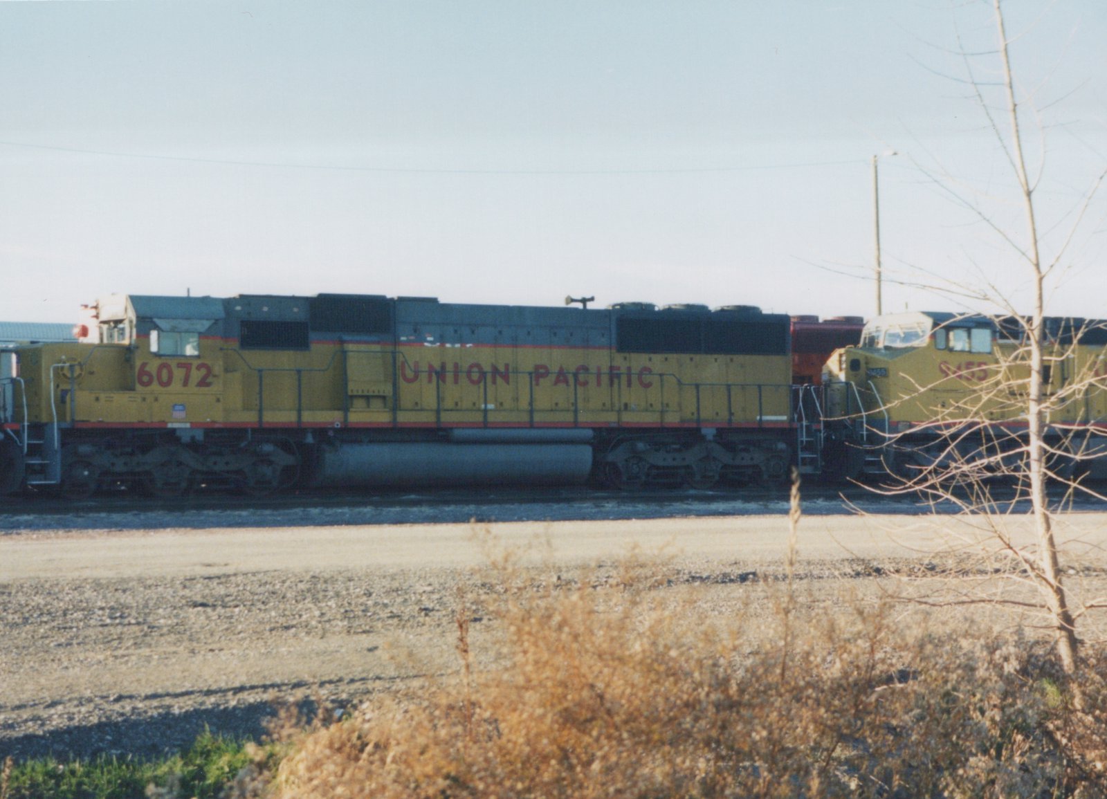 A yellow and gray Union Pacific diesel locomotive numbered 6072 is parked on tracks beside a second locomotive numbered 9455, with dry brush in the foreground and a bare tree near the tracks.
