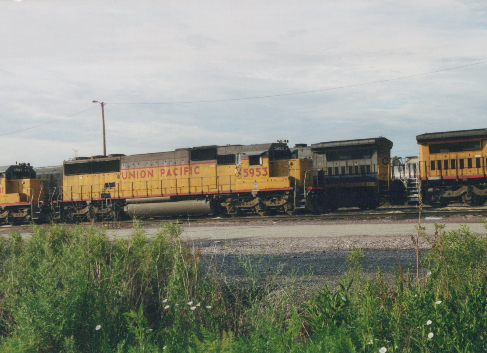 Two yellow Union Pacific diesel locomotives, numbers 5953 and 3541, are parked side by side on tracks in a rail yard with overgrown vegetation in the foreground and an overcast sky above.