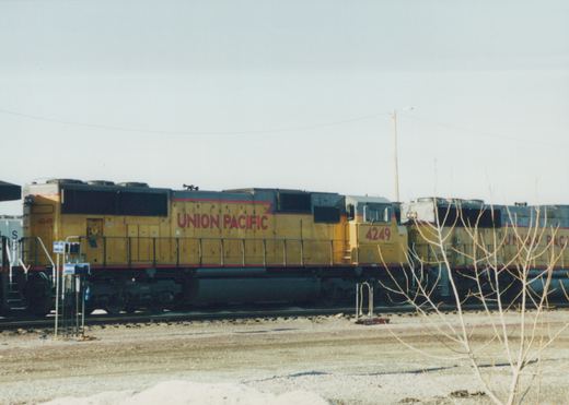 A yellow and gray Union Pacific diesel locomotive numbered 4249 stands in a yard beside a second Union Pacific locomotive, with a bare tree and gravel in the foreground under a pale sky.