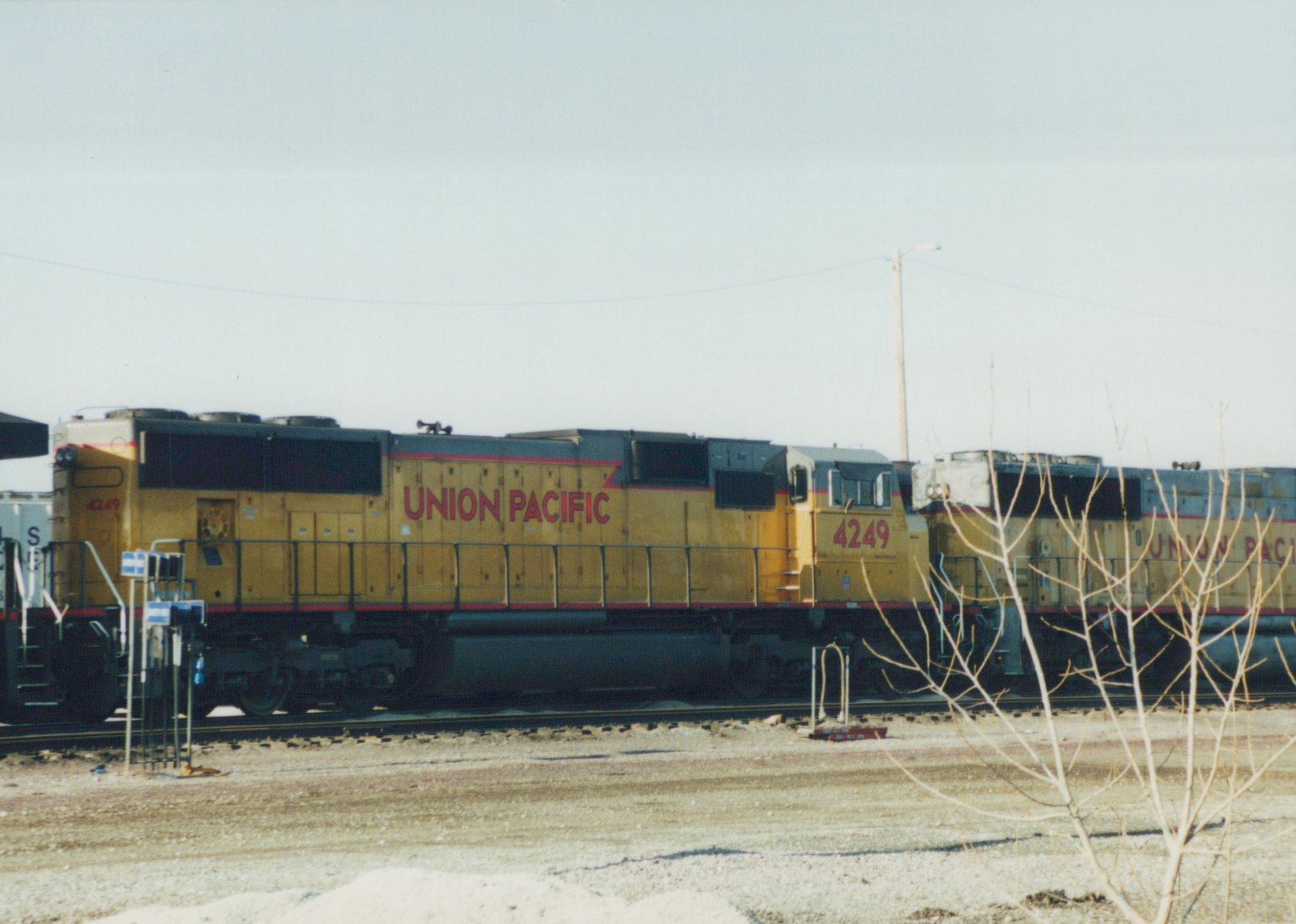 A yellow and gray Union Pacific diesel locomotive numbered 4249 stands in a yard beside a second Union Pacific locomotive, with a bare tree and gravel in the foreground under a pale sky.