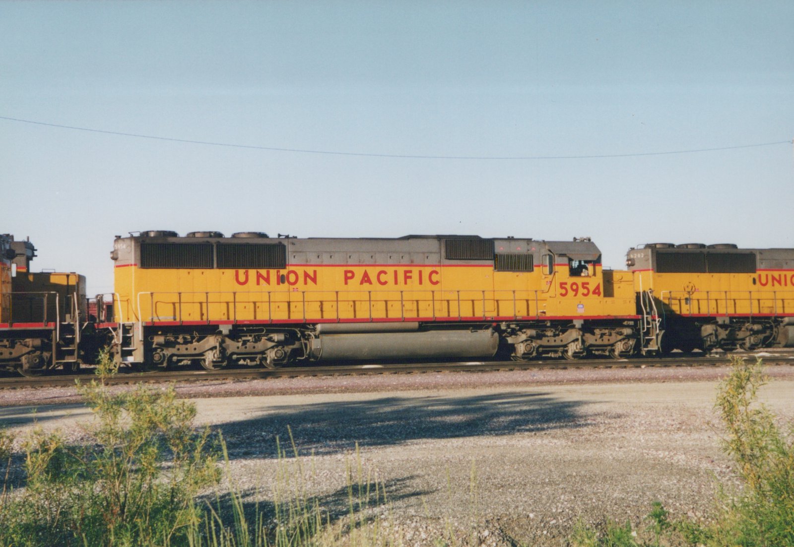 Side view of a yellow Union Pacific diesel locomotive, number 5954, coupled to another locomotive, parked in a gravel yard with weeds in the foreground.