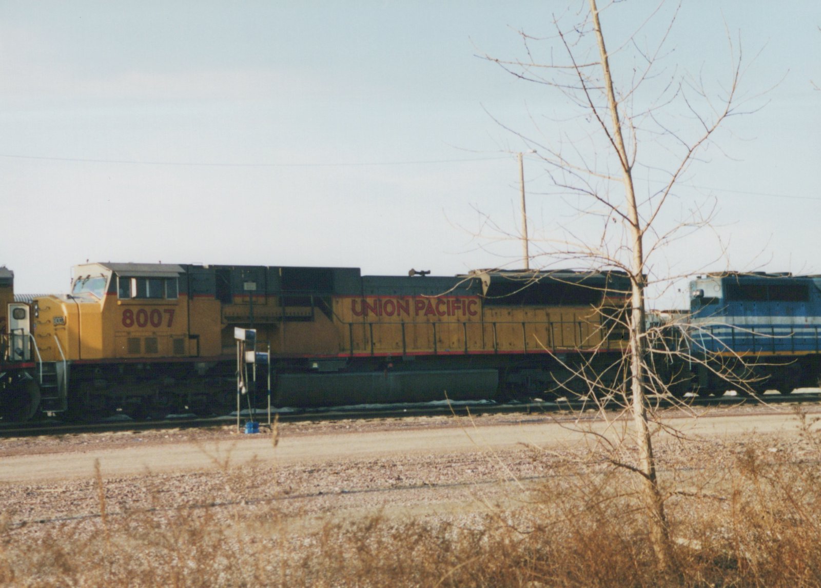 Side view of a yellow Union Pacific locomotive numbered 8007 on tracks in a winter yard, with a leafless tree in the foreground and a blue locomotive behind it.