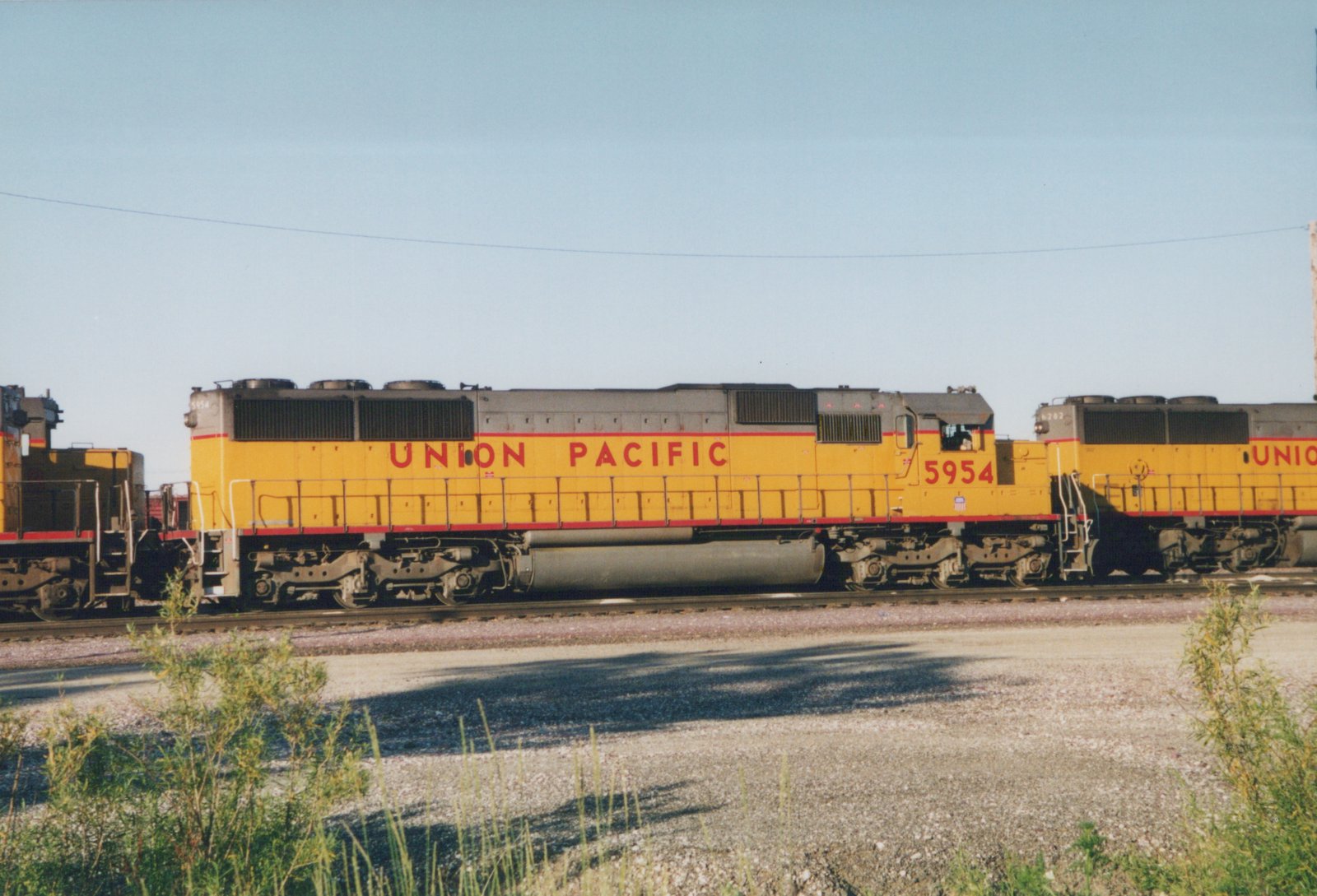 Two yellow and red Union Pacific locomotives, numbered 5954 and 6282, stand on parallel tracks in a sunlit gravel yard with green weeds in the foreground.