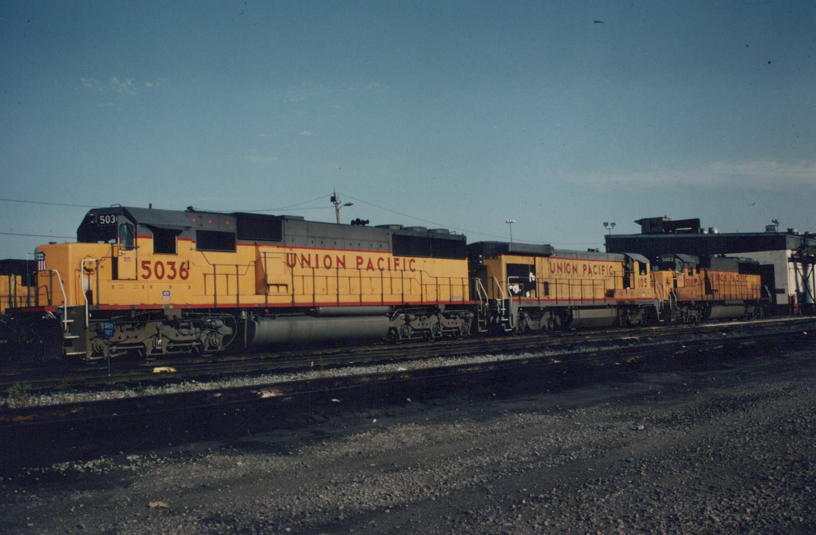 Three yellow and gray Union Pacific diesel locomotives, numbered 5036, 105, and 5003, sit side by side on multiple tracks in a railroad yard under a blue sky.