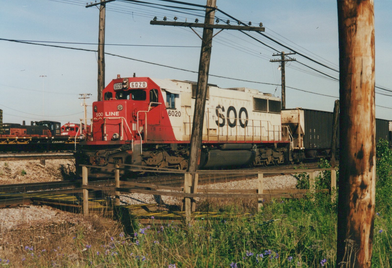 A red and white Soo Line locomotive numbered 6020 sits on a railroad track, with freight cars and utility poles in the background and wildflowers in the foreground.