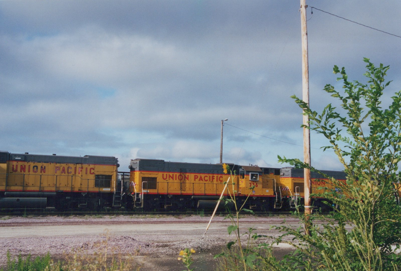 Three Union Pacific diesel locomotives in yellow and gray livery are parked in a gravel yard under a cloudy sky, with one clearly showing the number 736 on its side.