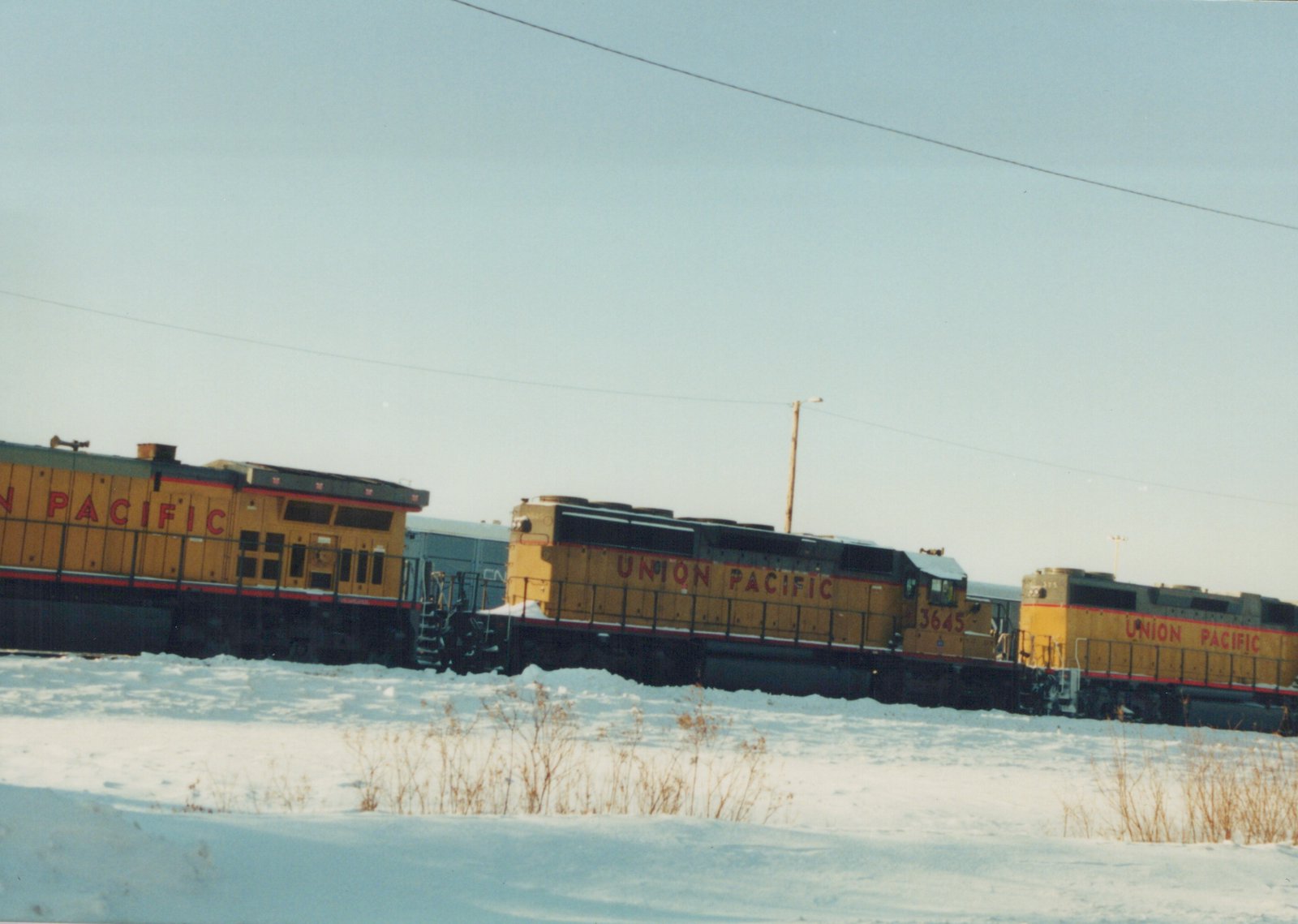 Side view of two yellow Union Pacific diesel locomotives, one marked 3645, on a snowy railroad track, with a Canadian National freight car behind them.
