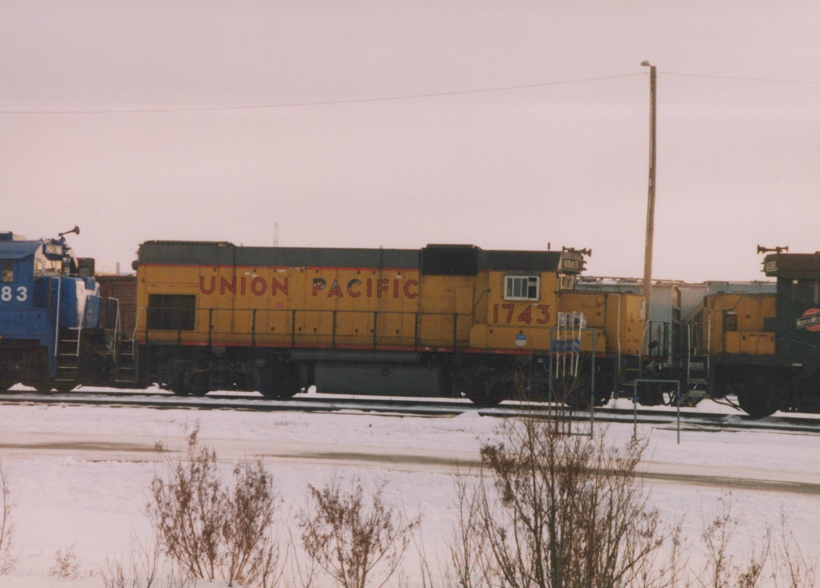A yellow Union Pacific diesel locomotive numbered 1743 is parked on railroad tracks in a snowy yard, with other locomotives partially visible to its sides.