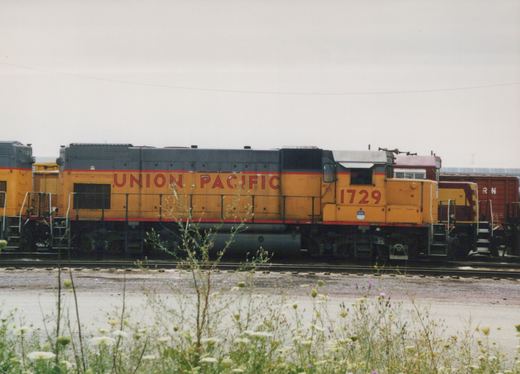 Side view of a yellow and gray Union Pacific diesel locomotive, number 1729, parked in a rail yard with wildflowers in the foreground.