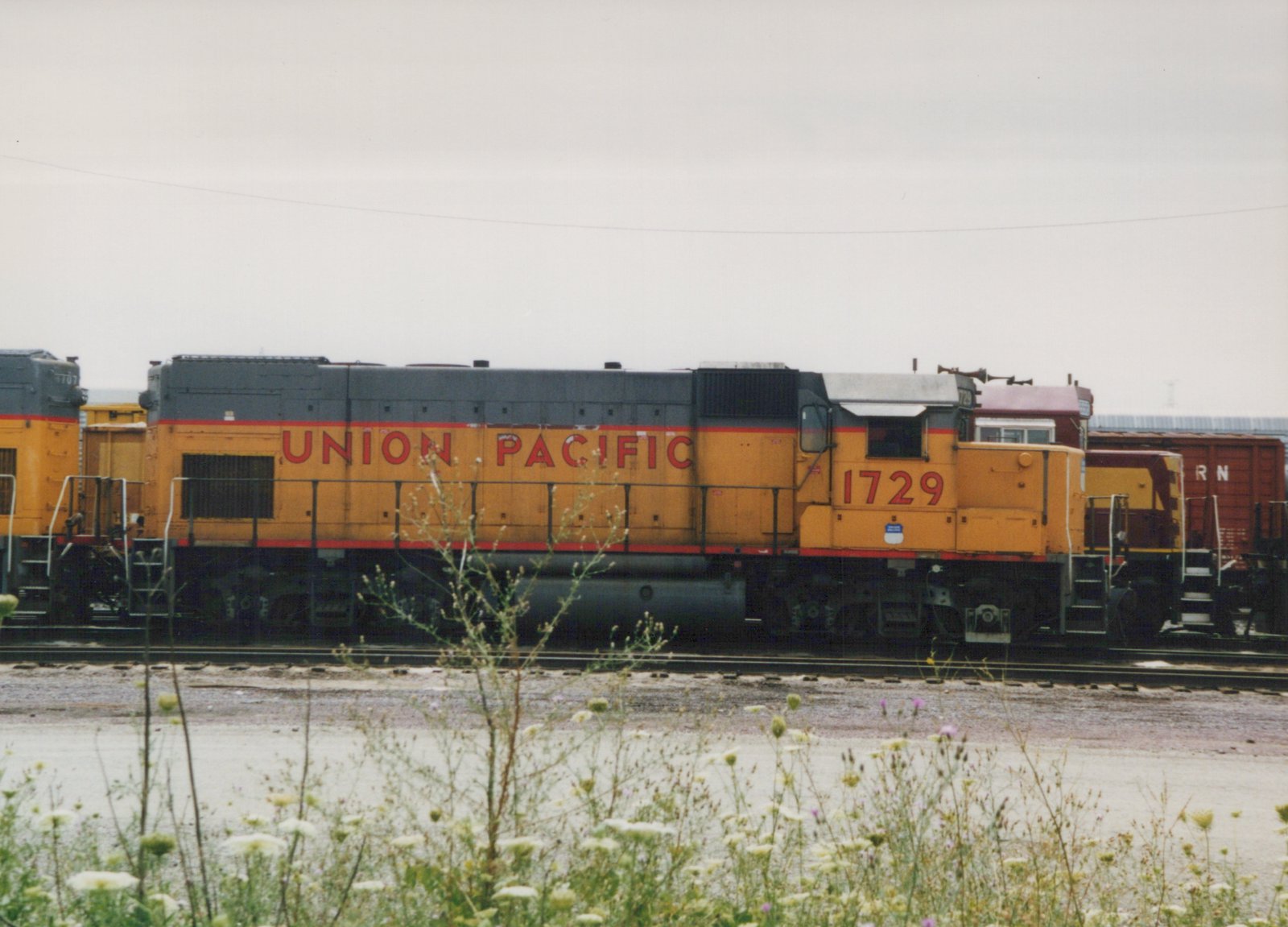Side view of a yellow and gray Union Pacific diesel locomotive, number 1729, parked in a rail yard with wildflowers in the foreground.