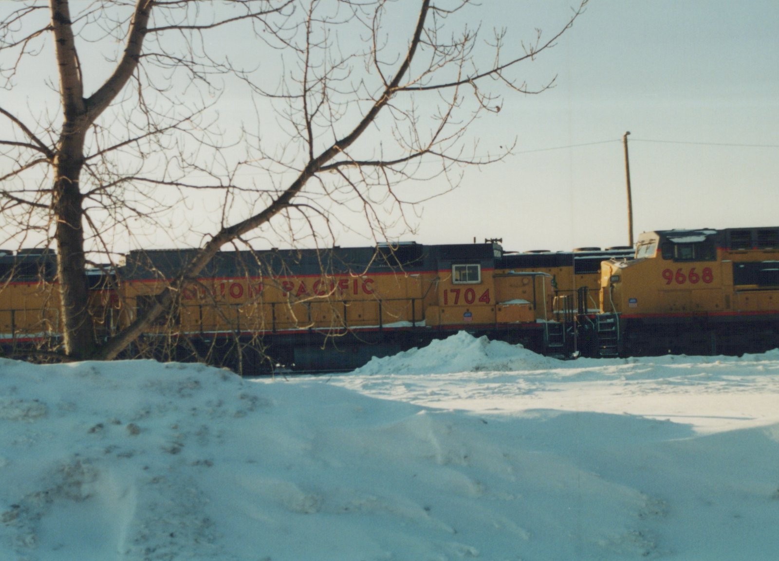 Two yellow Union Pacific locomotives sit side-by-side on a snow-covered track, with bare tree branches obscuring parts of the view.
