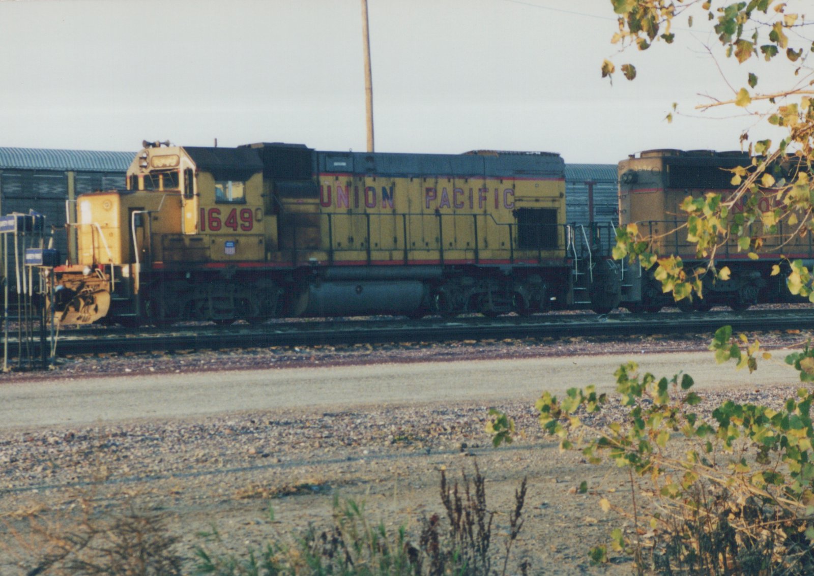 Side view of a Union Pacific diesel locomotive with number 1649, parked on tracks in a yard with autumn foliage in the foreground.