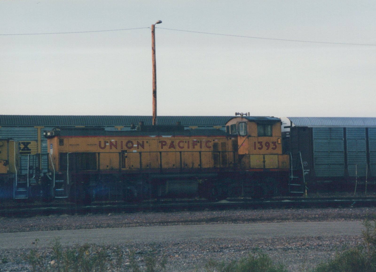 A yellow Union Pacific locomotive numbered 1393 is shown in side view on railroad tracks in a yard, with a dark freight car behind it and a building in the background.