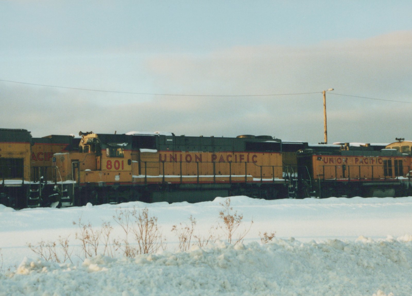 Two yellow and gray Union Pacific diesel locomotives, one numbered 801, are parked on a railroad track surrounded by snow under an overcast sky.