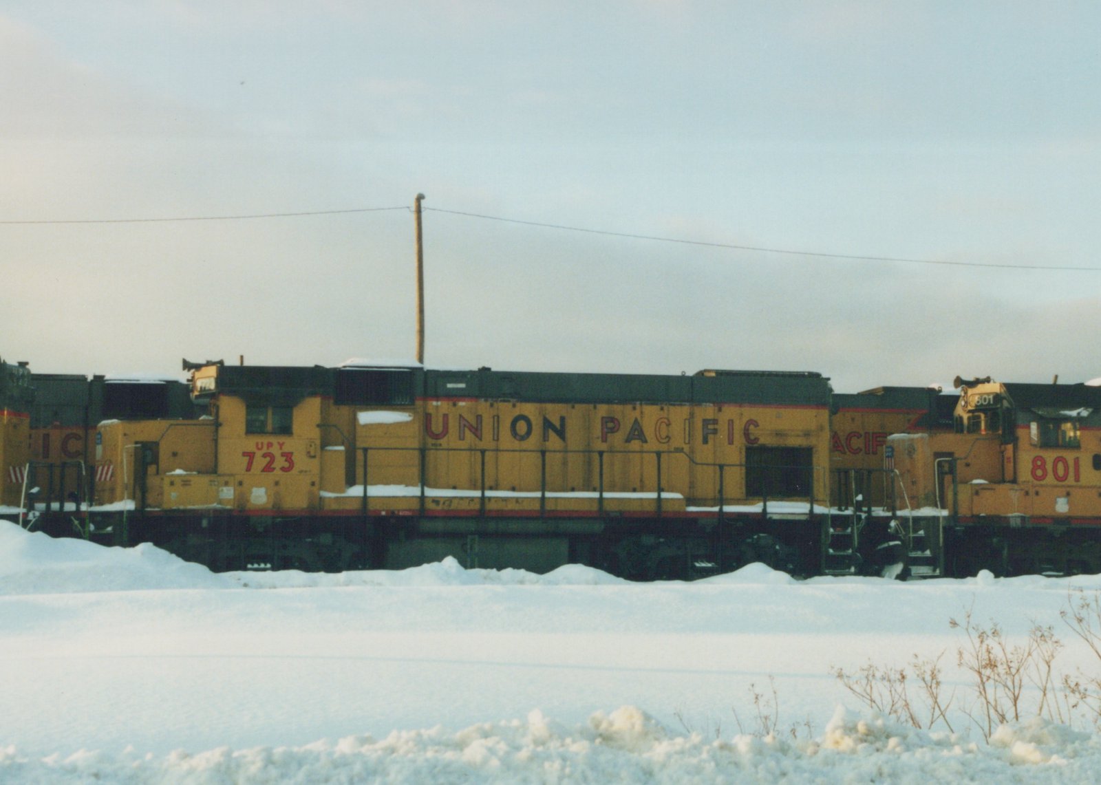 A side view of three yellow diesel locomotives, numbered 723 and 801 for Union Pacific and one for Illinois Central, lined up on tracks with snow piled on the ground and on the locomotives.