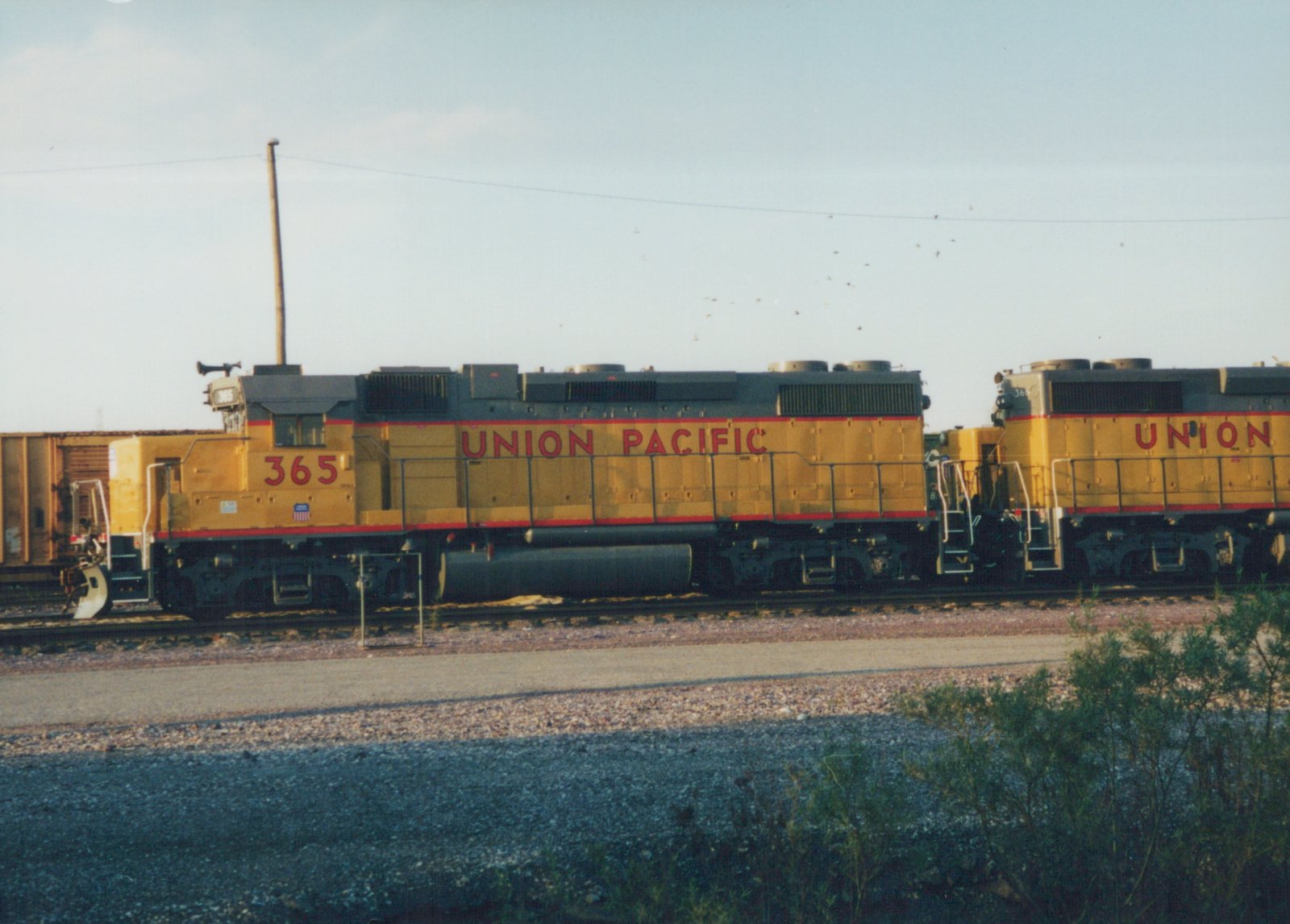Side view of two yellow Union Pacific locomotives, number 365 in front, parked on the tracks at a yard under a clear blue sky.
