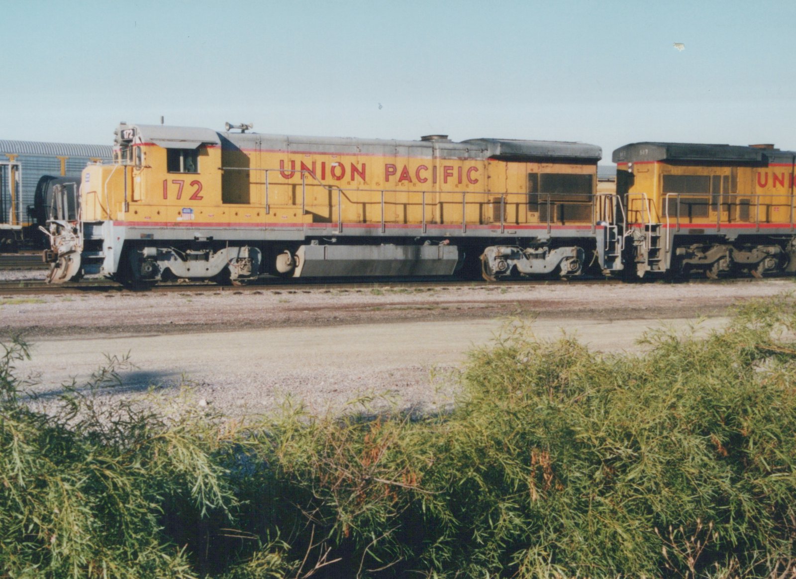 Side view of two yellow and gray Union Pacific diesel locomotives, numbers 172 and 517, parked on tracks in a gravel yard with green bushes in the foreground.
