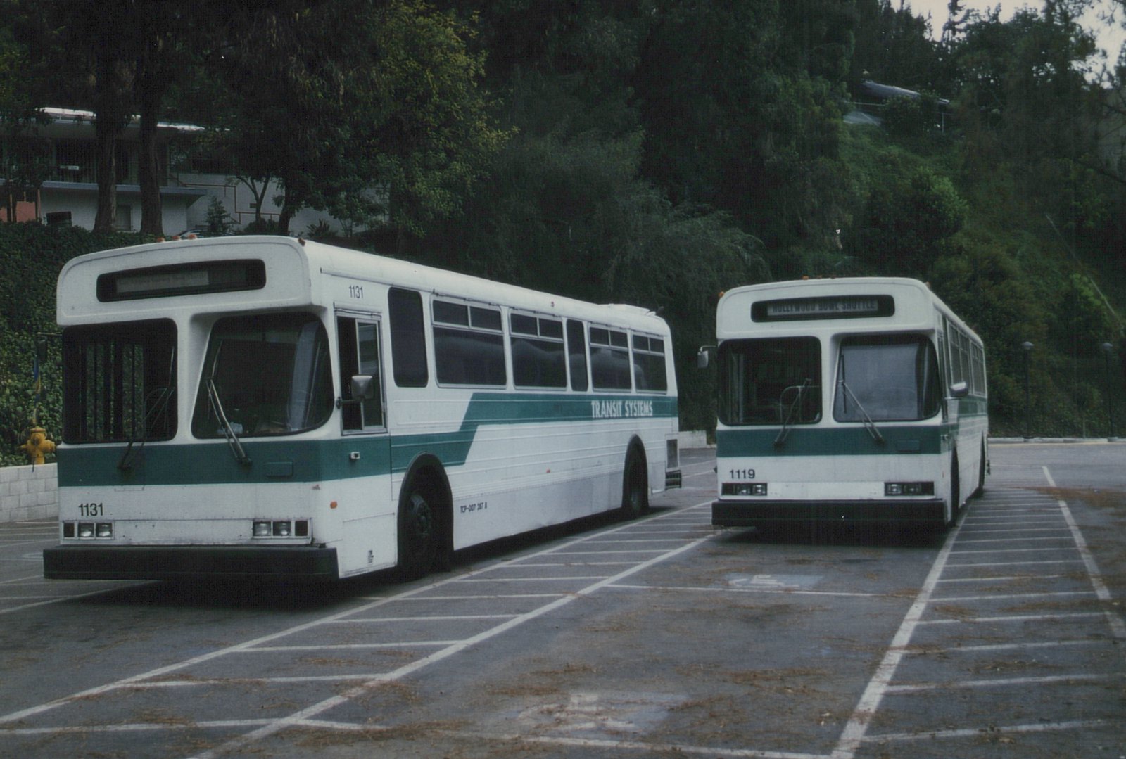 Two white and green transit buses, one with the fleet number 1131 and the other 1119, are parked in a paved lot with trees and a building in the background. The bus on the right displays 'Hollywood Bowl Shuttle' on its front sign.