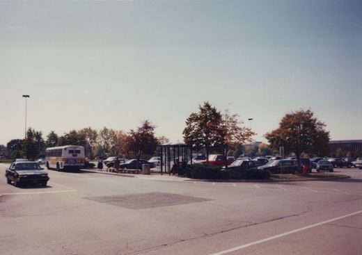 A white Pace bus is parked at a curb-side stop with people nearby, surrounded by parked cars and trees showing autumn colors under a clear sky.