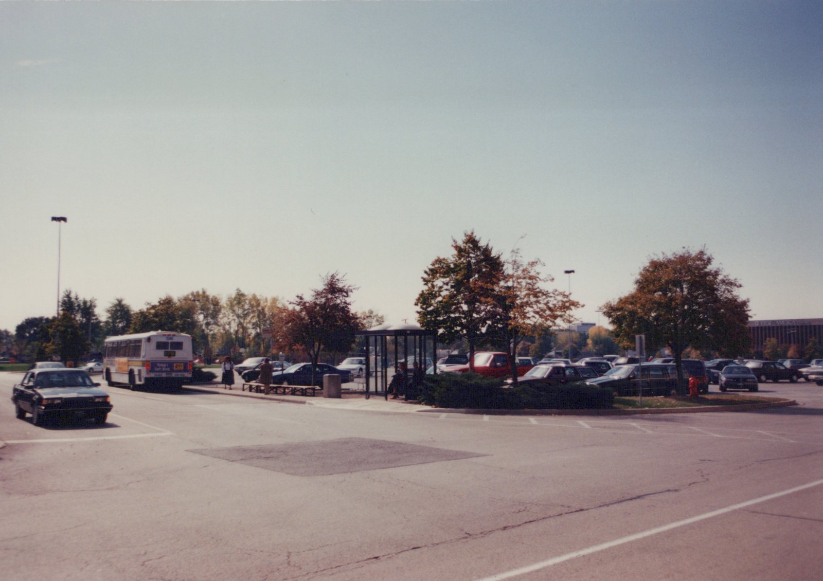 A white Pace bus is parked at a curb-side stop with people nearby, surrounded by parked cars and trees showing autumn colors under a clear sky.