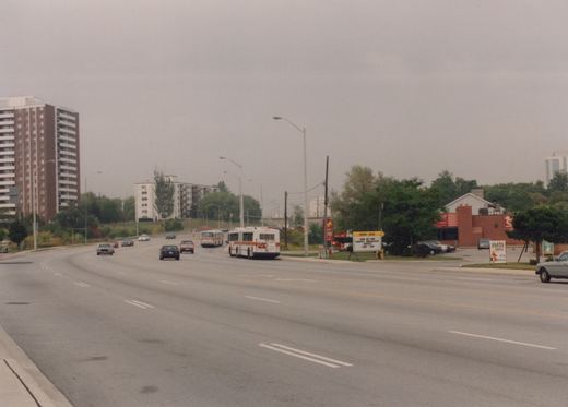 A wide, overcast street with two white and orange buses, several cars, apartment buildings, and restaurant signs, including one for Muddy Duck and another for Pasta Pasta.
