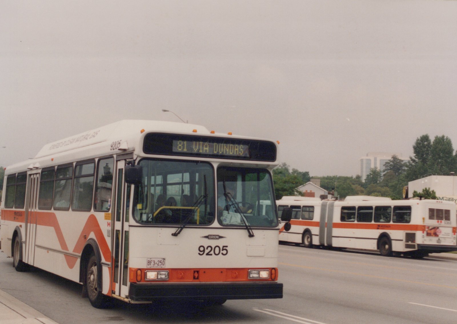 A white and orange Mississauga Transit bus, number 9205, labeled '81 VIA DUNDAS' on its front sign, drives down a street with another articulated bus in the background under an overcast sky.