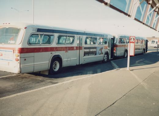 Side view of two white and red Flxible New Look buses from the Montreal transit system, with bus 7-800 clearly visible, parked alongside a street under a bridge on a clear day.