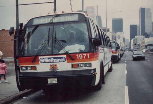 Front view of a white and red Los Angeles bus with the number 1971, displaying 'PICO STA' on its destination sign, parked on a city street with other buses and a car in the background.