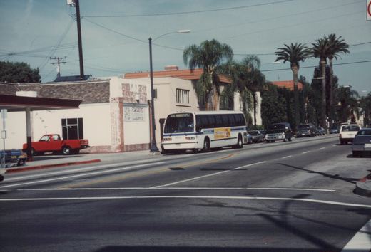 A white and blue motor bus with the number 9008 and route 131 Market Pl. drives down a street lined with palm trees and parked cars.