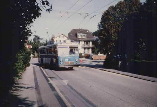 A light blue and dark blue trolleybus with the number 240 and destination 'Höhenmatt' is driving on a tree-lined street, powered by overhead wires.