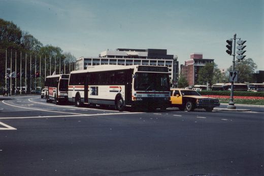 Two white Metro buses with red and blue stripes are on a city street; the lead bus shows the number 9765 and a destination sign reading 'BOB SPECIAL'. A yellow taxi is nearby, and several other buses are parked in the background. The scene includes flagpoles and red flowers along the curb.
