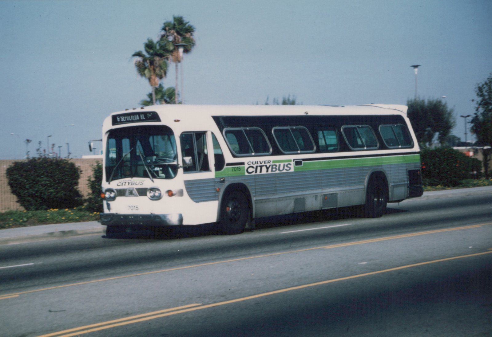 A white and green Culver CityBus, number 7015, drives down a street with palm trees in the background.