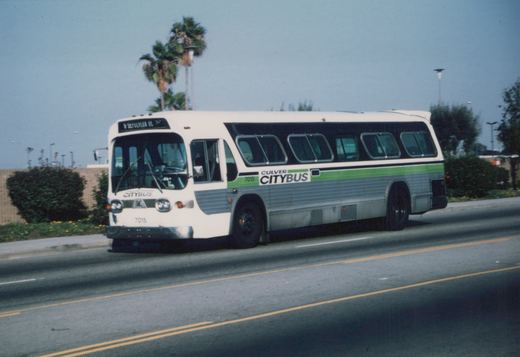 A white and green Culver CityBus, number 7015, drives down a street with palm trees in the background.