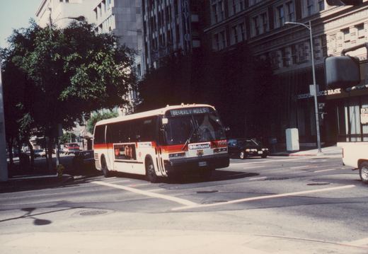 A white and orange city bus with 'Beverly Hills' on its destination sign, driving on a sunny city street with buildings and trees in the background.