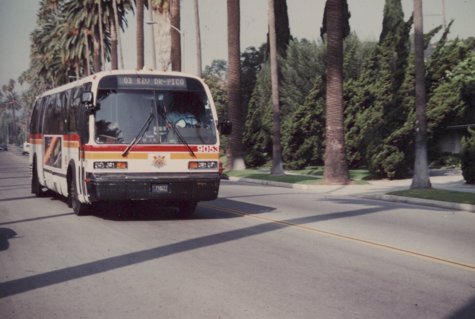 A white, red, and gold motor bus with the number 9053 on its front travels down a palm-lined street on a sunny day.