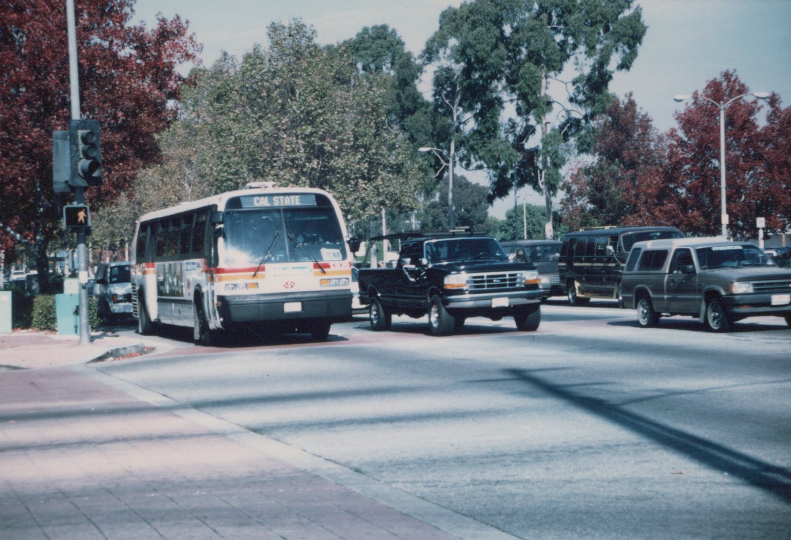 A white and orange Metro bus with 'CAL STATE' on the destination sign is stopped at an intersection with several cars, including a black pickup and a gray SUV, under a clear sky with autumn-colored trees.